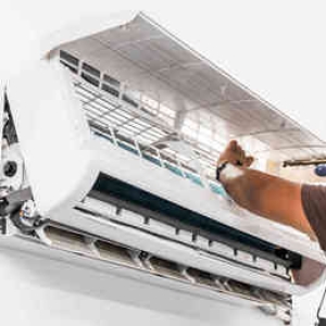 Đơn Vị Sửa Chữa Điều Hòa Daikin Uy Tín